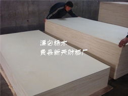 花紋楊木,膠合板, 貼面板, 櫥柜板生產(chǎn)供應(yīng)商 木料和膠合板