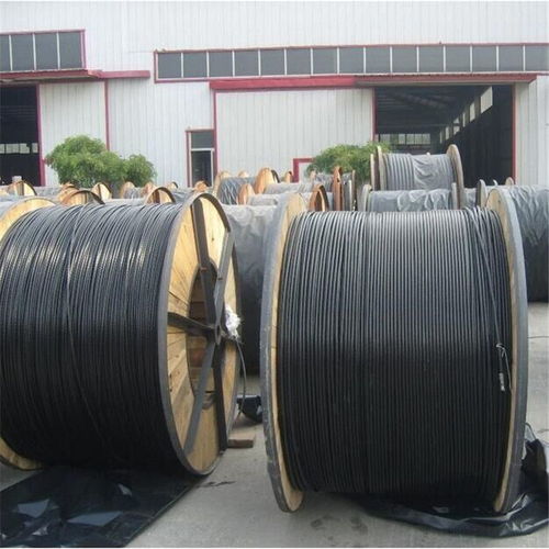 商丘市電線廠家銷售架空線jklyj 300 10kv大征電線廠家專業定制